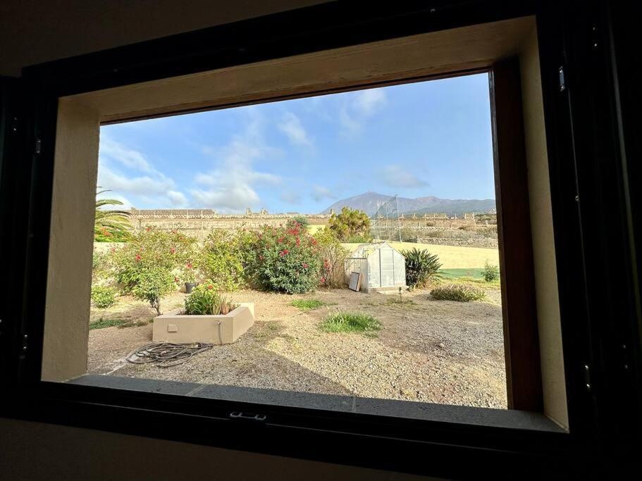Peaceful Oasis With Magical Sea Views And A Pool Villa Санта Крус де Тенерифе Екстериор снимка