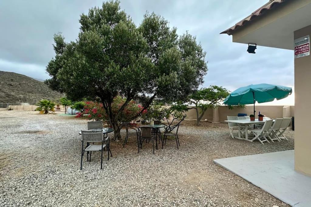 Peaceful Oasis With Magical Sea Views And A Pool Villa Санта Крус де Тенерифе Екстериор снимка