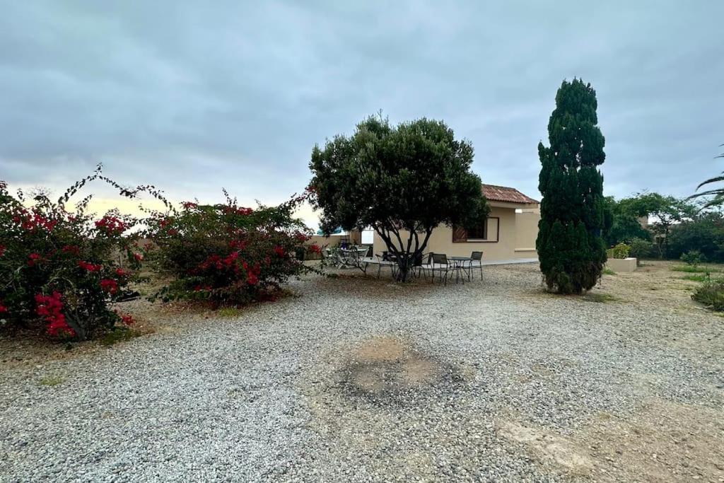 Peaceful Oasis With Magical Sea Views And A Pool Villa Санта Крус де Тенерифе Екстериор снимка