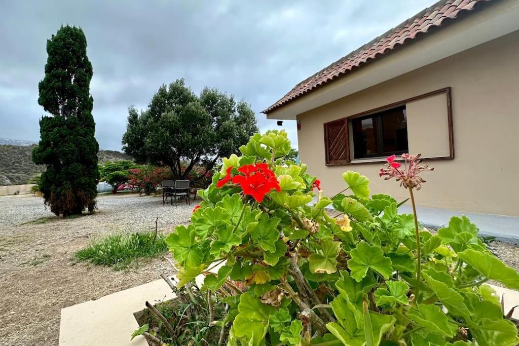 Peaceful Oasis With Magical Sea Views And A Pool Villa Санта Крус де Тенерифе Екстериор снимка