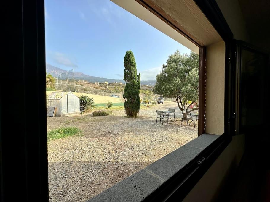 Peaceful Oasis With Magical Sea Views And A Pool Villa Санта Крус де Тенерифе Екстериор снимка